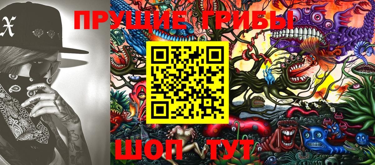 Псилоцибиновые грибы Psilocybe  Вход с VPN  Королёв 